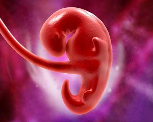 (a)代孕是犯法的吗,有排卵障碍怎么备孕