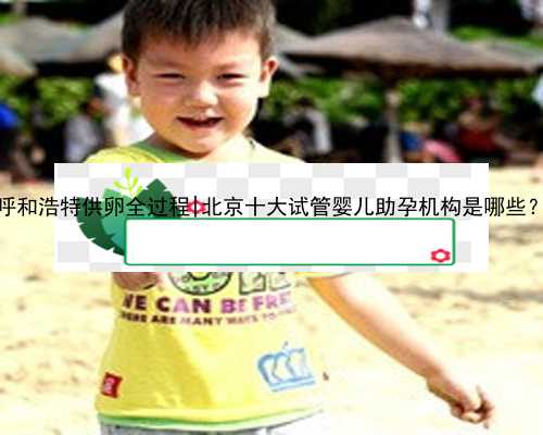 呼和浩特供卵全过程|北京十大试管婴儿助孕机构是哪些？